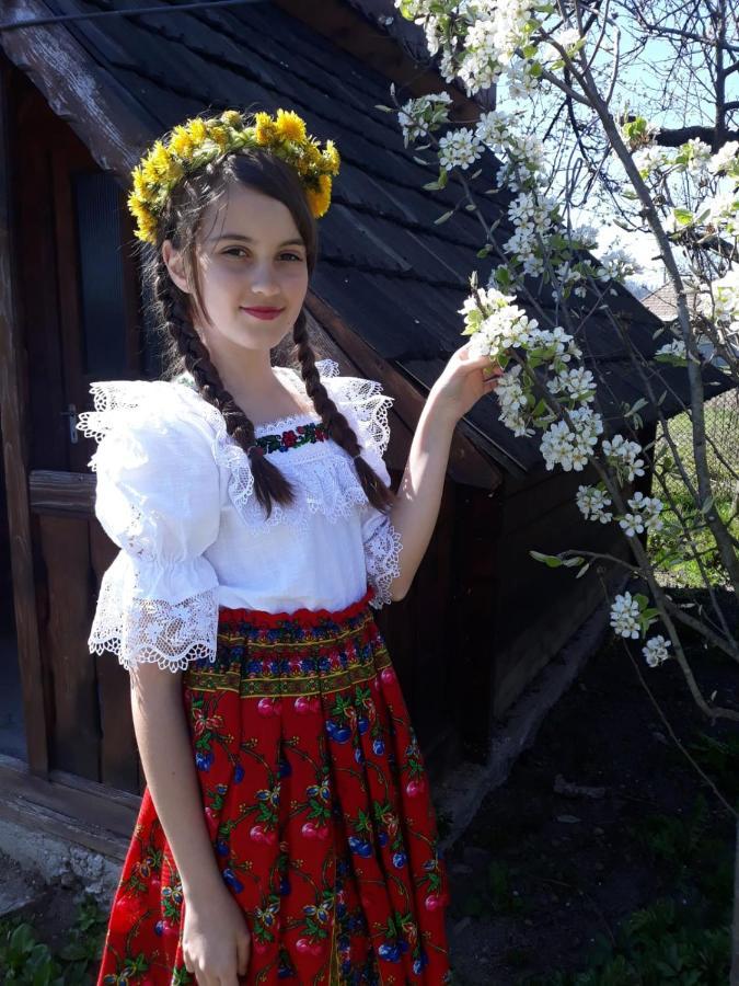 Pensiunea Maria Sighetu Marmaţiei Exterior foto