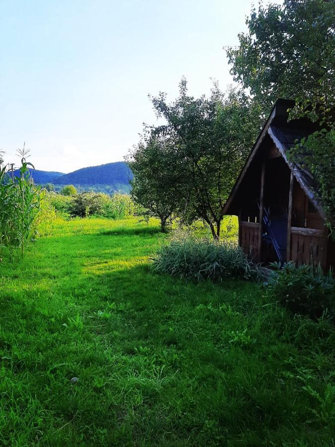 Pensiunea Maria Sighetu Marmaţiei Exterior foto
