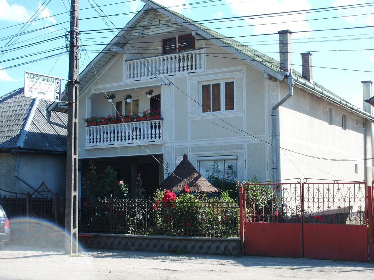 Pensiunea Maria Sighetu Marmaţiei Exterior foto